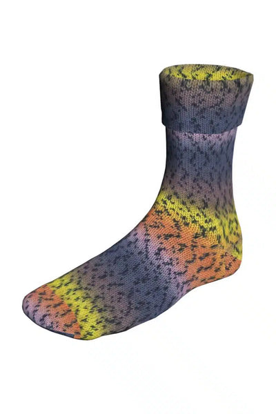 Super Soxx Color 4 ply