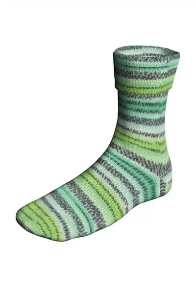 Super Soxx Color 4 ply