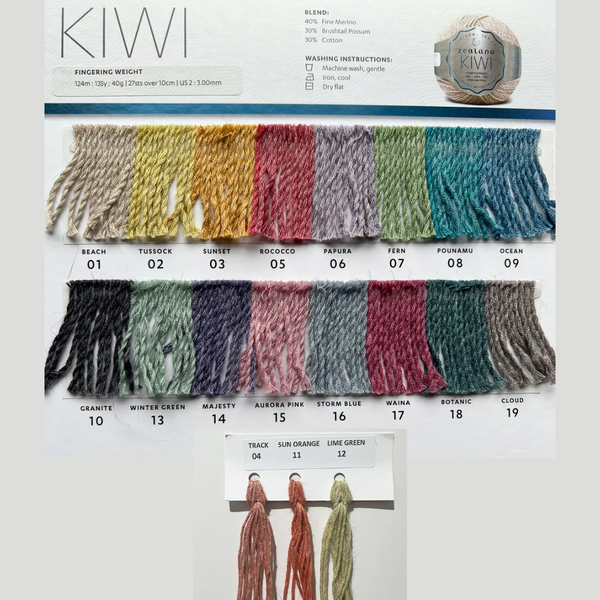 Vela Shawl Project Kit