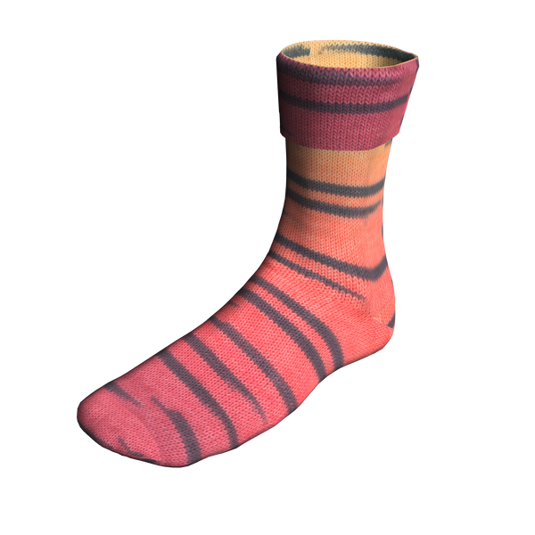 Euphyllia Lace Socks | Project Kit