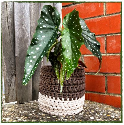 27158 Crumbz Plant Pot (e-pattern)