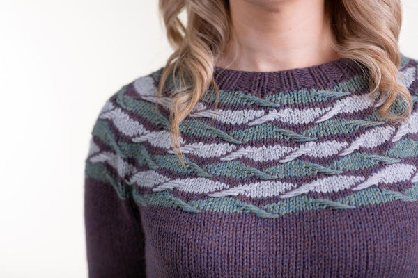 Bold Beginner Knits