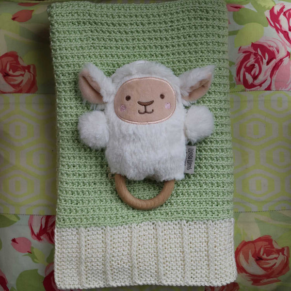 4454 Minty Baby Blanket Leaflet